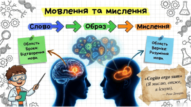 0902401a-aa6c-392x221.png
