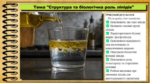 Структура та біологічна роль ліпідів. Біологія. 9 клас. НУШ (2026). До підручника Тагліна О., Самойлов А. та ін.