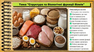 Структура та біологічні функції білків. Біологія. 9 клас. НУШ (2026). До підручника Тагліна О., Самойлов А. та ін.