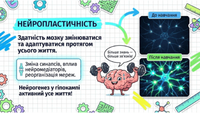 0902412c-c30d-406x229.png