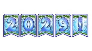 Стильна святкова тематична розтяжка «2029!» в сучасному зимовому дизайні