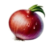 090241dr-ab9e-164x157.png