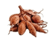 090241ds-7e57-188x140.png