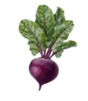 090241dt-18f1-174x198.png