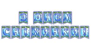 Стильна святкова тематична розтяжка «З Днем сніжинки!» в сучасному зимовому дизайні
