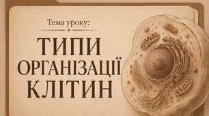 Типи організації клітин