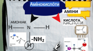 Амінокислоти. Фізичні та хімічні властивості.