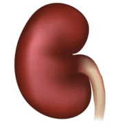 09024735-b91d-178x194.png