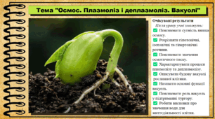 Осмос. Плазмоліз і деплазмоліз. Вакуолі. Біологія. 9 клас. НУШ (2026). До підручника Тагліна О., Самойлов А. та ін.