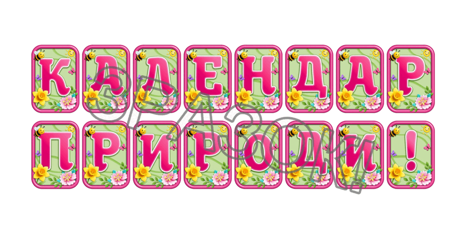090247rf-da0d-940x470.png