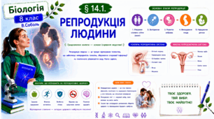 Репродукція людини. Презентація, інфографіка, робочий аркуш