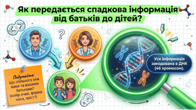 09024922-aba3-398x224.png