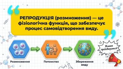09024923-9b27-394x222.png