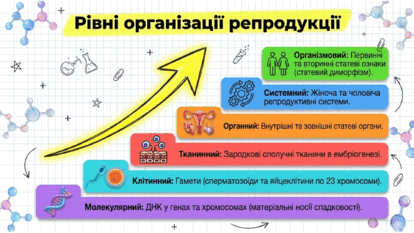 09024924-73d3-414x233.png