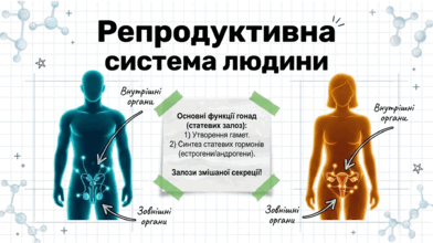 09024925-700e-392x220.png
