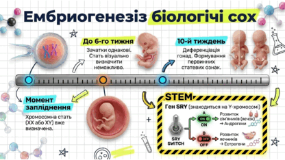 09024926-1bf4-416x234.png