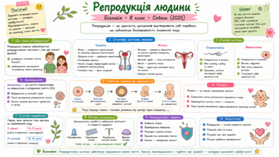 09024927-c3ba-400x225.png