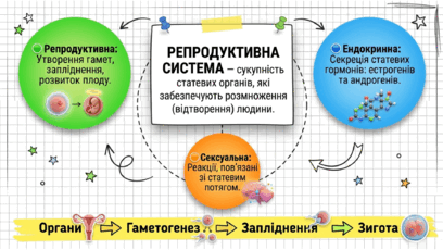 0902492f-31d2-408x230.png