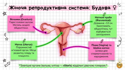 0902492g-23ed-400x225.png