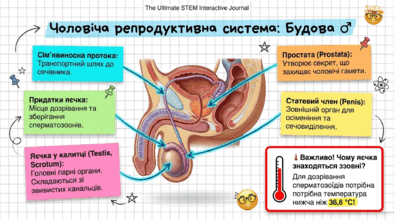 0902492j-22d7-394x221.png