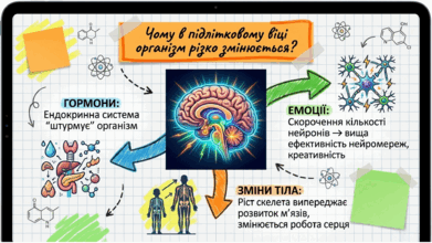 0902492u-34d4-391x220.png