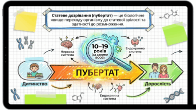 0902492v-c3f7-393x221.png