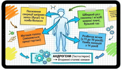 0902492w-e993-400x225.png