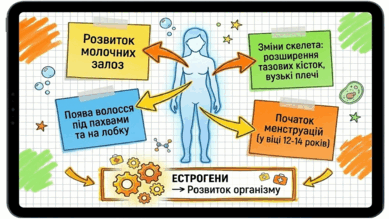 0902492x-cba2-389x219.png