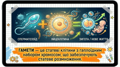 0902492y-6eee-404x227.png