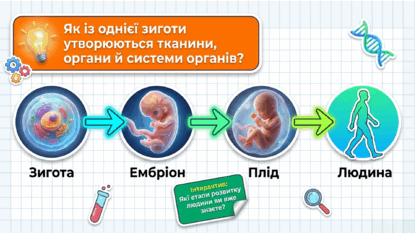 0902494e-1f2c-415x234.png