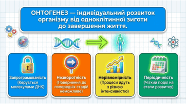 0902494j-4ca3-382x215.png