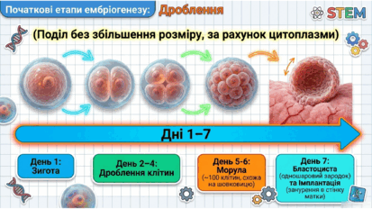 0902494n-4036-413x232.png