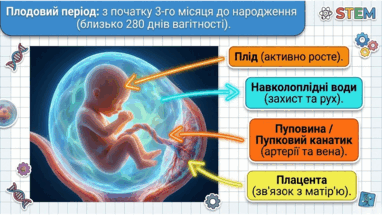 0902494p-209d-382x215.png