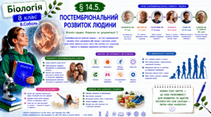 Постембріональний розвиток людини.Презентація, інфографіка, робочий аркуш