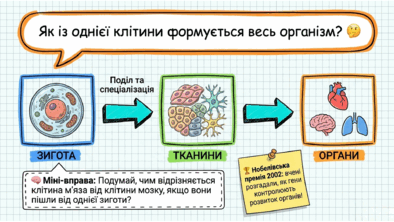 0902496e-638f-394x222.png