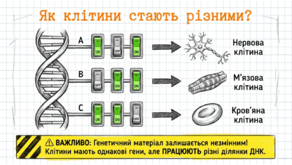 0902496f-9e36-417x235.png