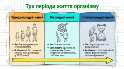 0902496j-427c-395x222.png