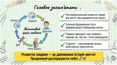 0902496r-ab3b-382x215.png