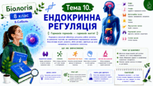 Тема 10. Ендокринна регуляція. Біологія. 8 клас. В.Соболь (2025)
