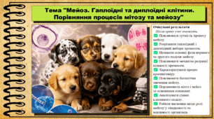Мейоз. Гаплоїдні та диплоїдні клітини. Порівняння процесів мітозу та мейозу. Біологія. 9 клас. НУШ (2026). До підручника Тагліна О., Самойлов А. та ін.