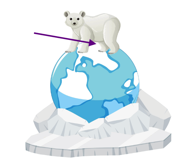 09024b72-9351-636x536.png