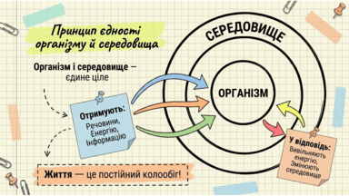 09024b7l-3665-384x216.png