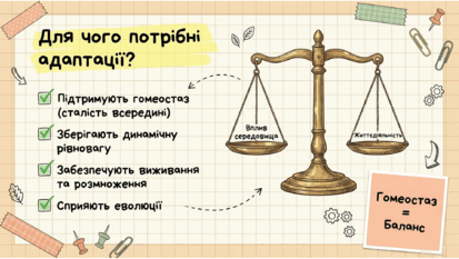 09024b7n-5f2d-413x233.png