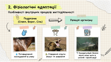 09024b7r-d8f0-384x216.png