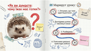09024b95-8339-381x214.png