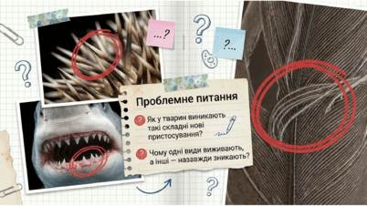 09024b9b-c302-402x226.png