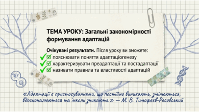 09024b9d-435e-390x220.png