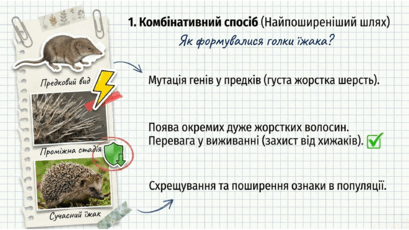 09024b9g-6c86-409x230.png