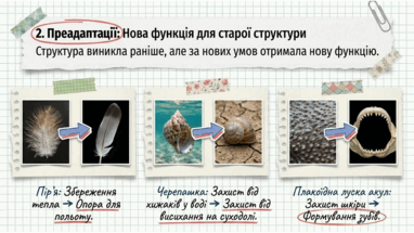 09024b9i-b024-382x215.png