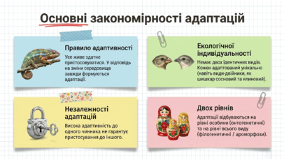 09024b9n-72c9-406x229.png